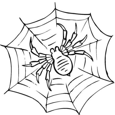 Spider On A Web Coloring Page